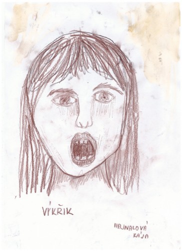 Image Description
